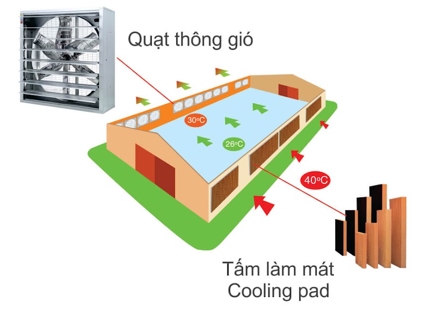 Ứng dụng của tấm Cooling Pad