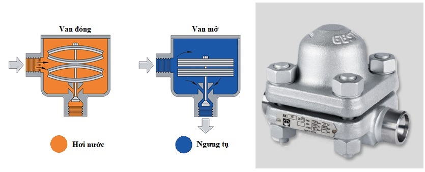 Bẫy hơi lưỡng kim
