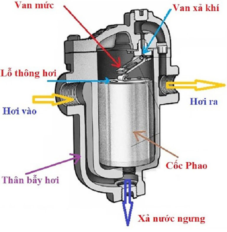 Cấu tạo bẫy hơi